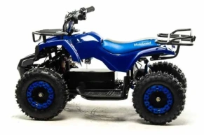 Электроквадроцикл Motoland ATV E009 1000W