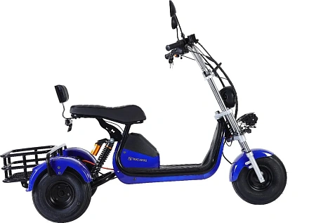 Электроскутер GT Citycoco X6 Trike