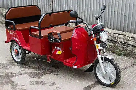 Электро-рикша TaiLG TDL800
