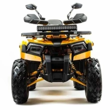 Квадроцикл Motoland 200 WILD TRACK X PRO (баланс. вал)