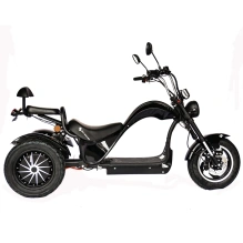 Электроскутер Skyboard CITYCOCO Chopper -5000 Harrow (Elbrus)