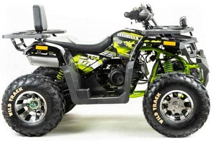 Квадроцикл Motoland 200 WILD TRACK PRO