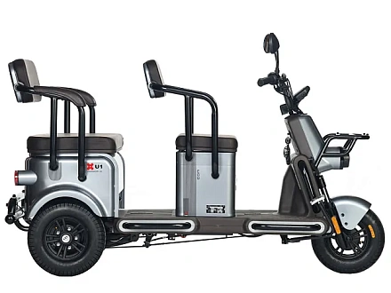 Электротрицикл Wanshida U1-X 60V 800Вт