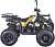 Квадроцикл бензиновый MOTAX ATV Grizlik LUX 125 cc - превью