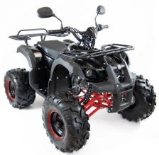 Квадроцикл MOTAX ATV Grizlik 7 110 cc