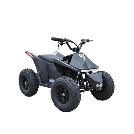 Электроквадроцикл Skyboard CyberTruck Sochi Power 1000W