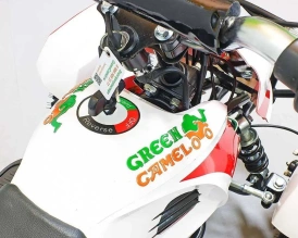 Электроквадроцикл Green Camel Гоби K22 (36V 500W R4 Цепь)