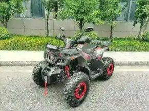 Квадроцикл MOTAX Grizlik T 200 LUX