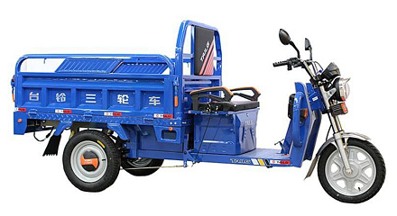 Электротрицикл TaiLG TL1000