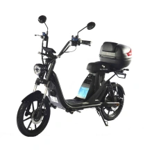 Электроскутер Skyboard Sakhalin