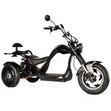 Электроскутер Skyboard CITYCOCO Chopper -5000 Harrow (Elbrus)