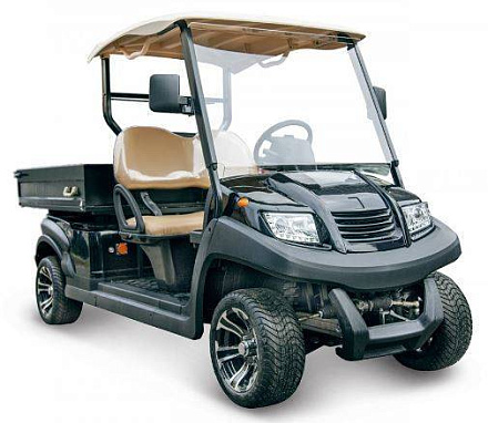 Гольфкар Voltrix EAGLE EG204AHCX
