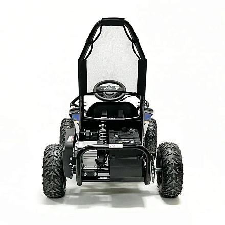 Багги Green Camel Намиб T006 (48V 1000W R6 Цепь) аморт