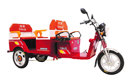 Электро-рикша TaiLG TDL800