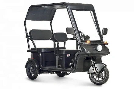 Электротрицикл Wanshida NIPLA 570 60V 1000Вт