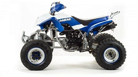 Квадроцикл Motoland 250 DAKAR
