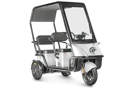 Электротрицикл Wanshida NIPLA 500 60V 1000Вт