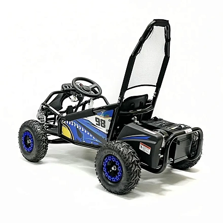 Багги Green Camel Намиб T006 (48V 1000W R6 Цепь) аморт