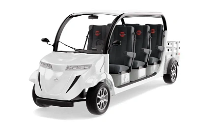 Гольфкар Elecar 5E-TIGARBO 6G