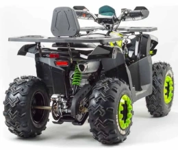Квадроцикл Motoland 200 WILD TRACK LUX ( баланс. вал)