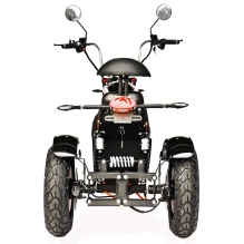 Электроскутер Skyboard CITYCOCO Chopper -5000 Harrow (Elbrus)