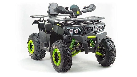 Квадроцикл Motoland 200 WILD TRACK