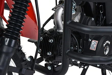 Мотоцикл Motoland Альфа FORESTER RS 11 (LM48-B)