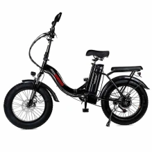 Электровелосипед Jetson V20 BAGIRA (48V13Ah)