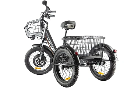Электротрицикл Green City e-ALFA Trike