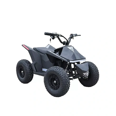 Электроквадроцикл Skyboard CyberTruck Sochi Kids 800W