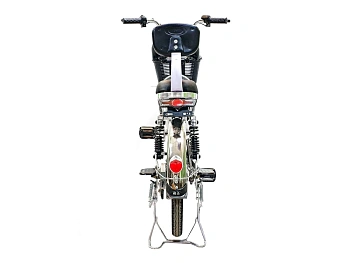 Электровелосипед GreenCamel Транк-2 V2 (R20 250W) Алюм 2-х подвес, фото №3