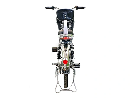 Электровелосипед Green Camel Транк-2 V2 (R20 250W) Алюм 2-х подвес