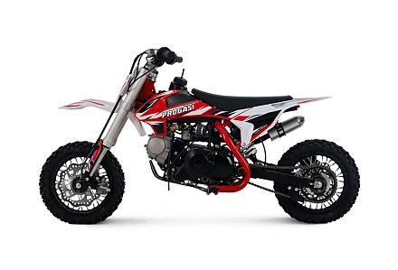 Мотоцикл Питбайк PROGASI Kids Power 110 (10/10) красный