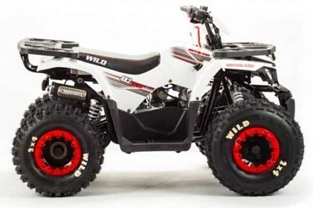 Квадроцикл Motoland 125 WILD (2020 г.)