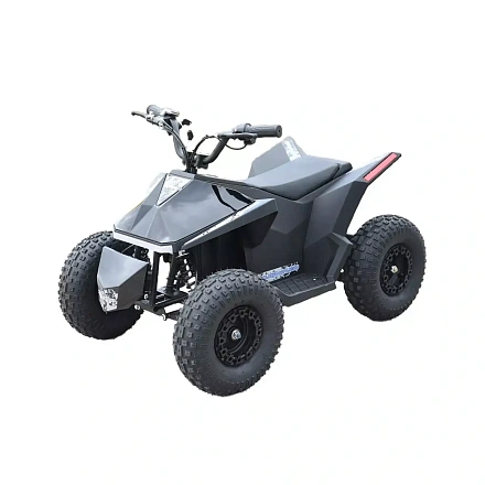 Электроквадроцикл Skyboard CyberTruck Sochi Kids 800W
