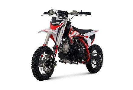 Мотоцикл Питбайк PROGASI Kids Power 110 (10/10) красный