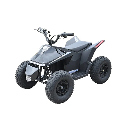 Электроквадроцикл Skyboard CyberTruck Sochi Power 1000W