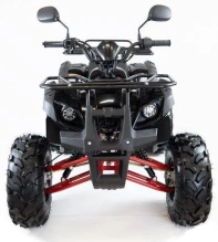 Квадроцикл MOTAX ATV Grizlik 7 110 cc
