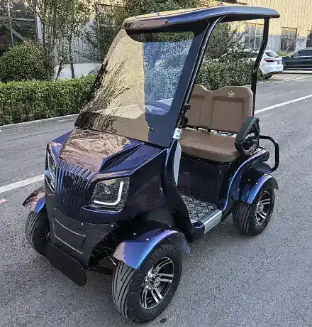 Гольфкар Green Camel Сонора A20 (2 seats 1800W 225/40-10' литые)