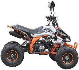 Квадроцикл MOTAX ATV T-Rex-LUX 125, фото №0