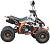 Квадроцикл MOTAX ATV T-Rex-LUX 125 - превью
