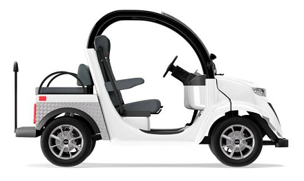 Гольфкар Elecar 5E-TIGARBO 2+2