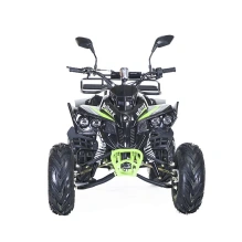 Квадроцикл MOTAX ATV Raptor LUX 50 сс