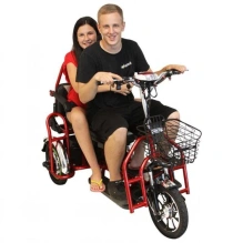 Электротрицикл Elbike Адъютант А4 с сиденьем