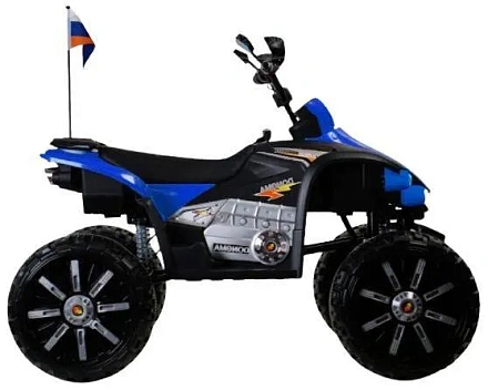 Детский электроквадроцикл Rivertoys P444PP