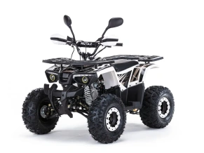 Квадроцикл бензиновый MOTAX ATV GRIZLIK SUPER LUX 125 сс NEW (AB)