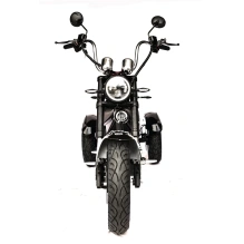 Электроскутер Skyboard CITYCOCO Chopper -5000 Harrow (Elbrus)
