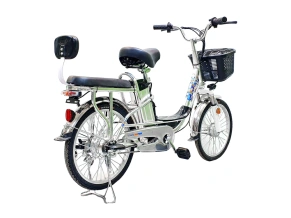 Электровелосипед Green Camel Транк-20 V2 (R20 250W) Алюм, редукторный