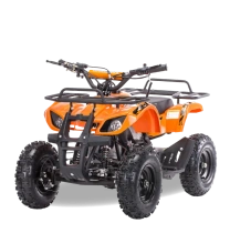 Квадроцикл MOTAX ATV Mini Grizlik X-16 (мех.)