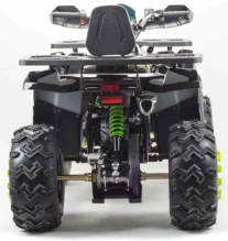 Квадроцикл Motoland 200 WILD TRACK LUX ( баланс. вал)